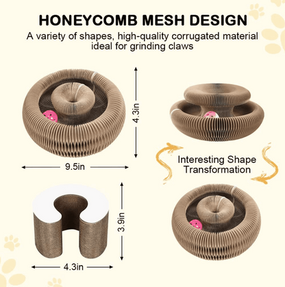 🐱Magic Foldable Scratcher & Cat Bed🛌 - Buy 2 & Save 20% -2025 New Product Flash Sale ONLY TODAY