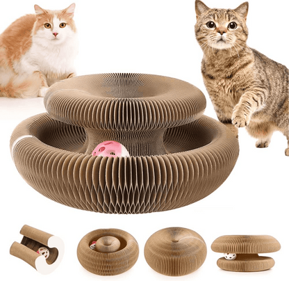 🐱Magic Foldable Scratcher & Cat Bed🛌 - Buy 2 & Save 20% -2025 New Product Flash Sale ONLY TODAY