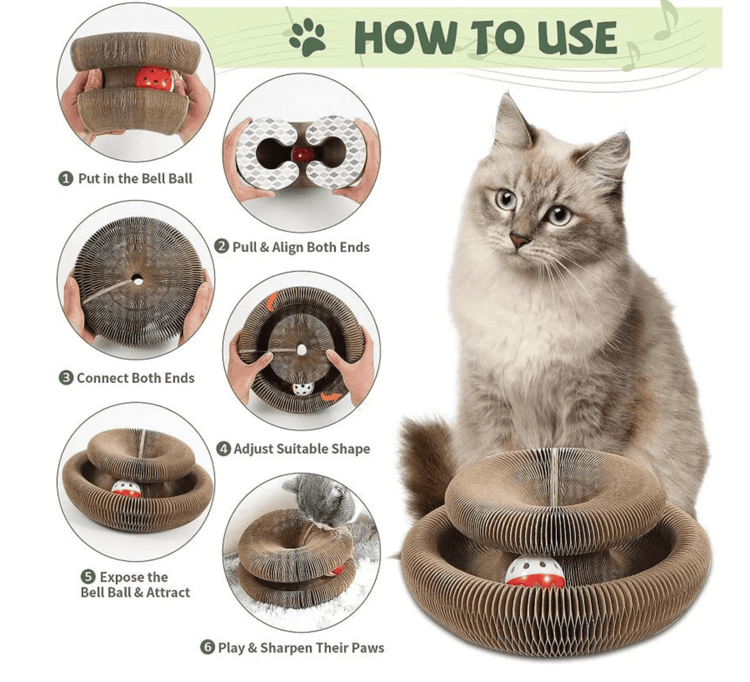 🐱Magic Foldable Scratcher & Cat Bed🛌 - Buy 2 & Save 20% -2025 New Product Flash Sale ONLY TODAY