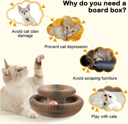 🐱Magic Foldable Scratcher & Cat Bed🛌 - Buy 2 & Save 20% -2025 New Product Flash Sale ONLY TODAY