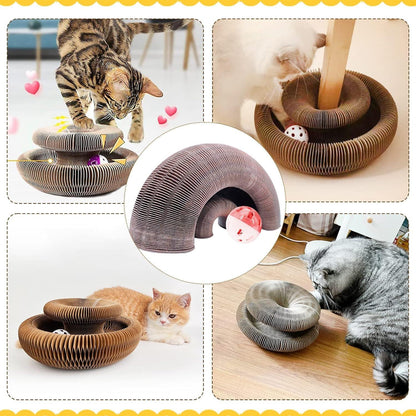 🐱Magic Foldable Scratcher & Cat Bed🛌 - Buy 2 & Save 20% -2025 New Product Flash Sale ONLY TODAY