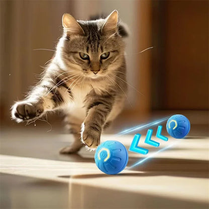 ⏰2025 New Products Flash Sale 50%off- Pet Bounce Ball