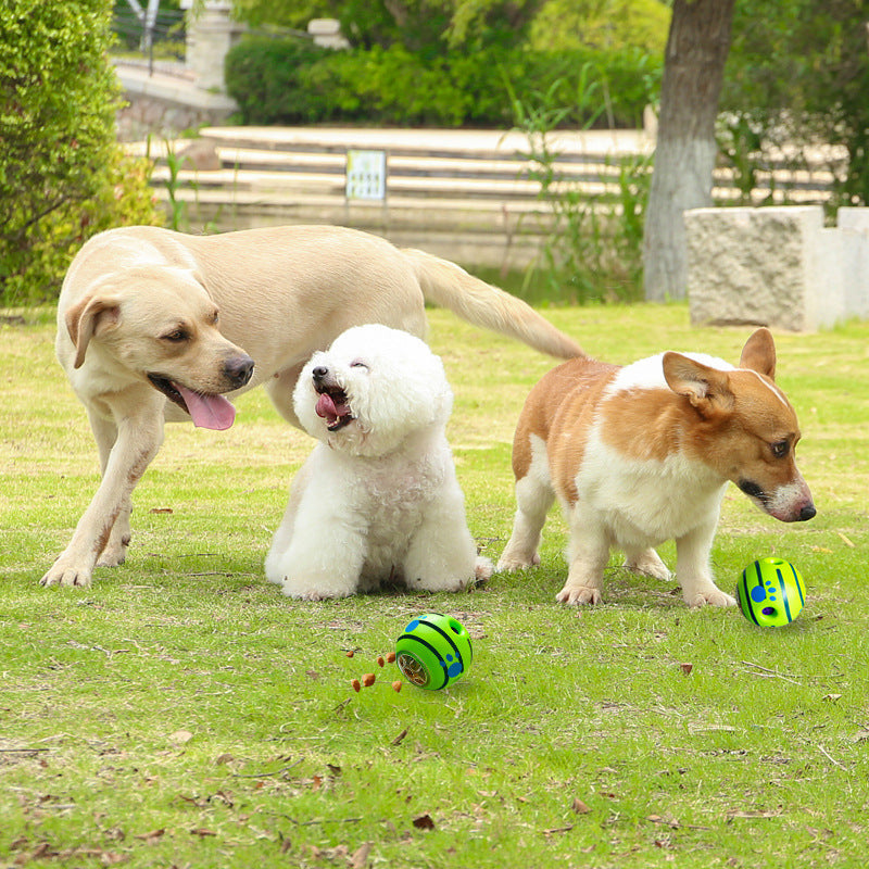 Pet Giggle Ball