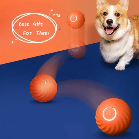 ⏰2025 New Products Flash Sale 50%off- Pet Bounce Ball