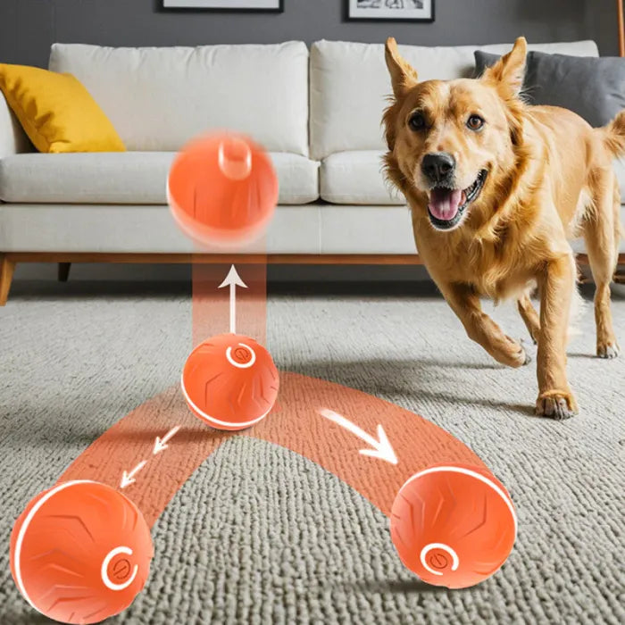 ⏰2025 New Products Flash Sale 50%off- Pet Bounce Ball